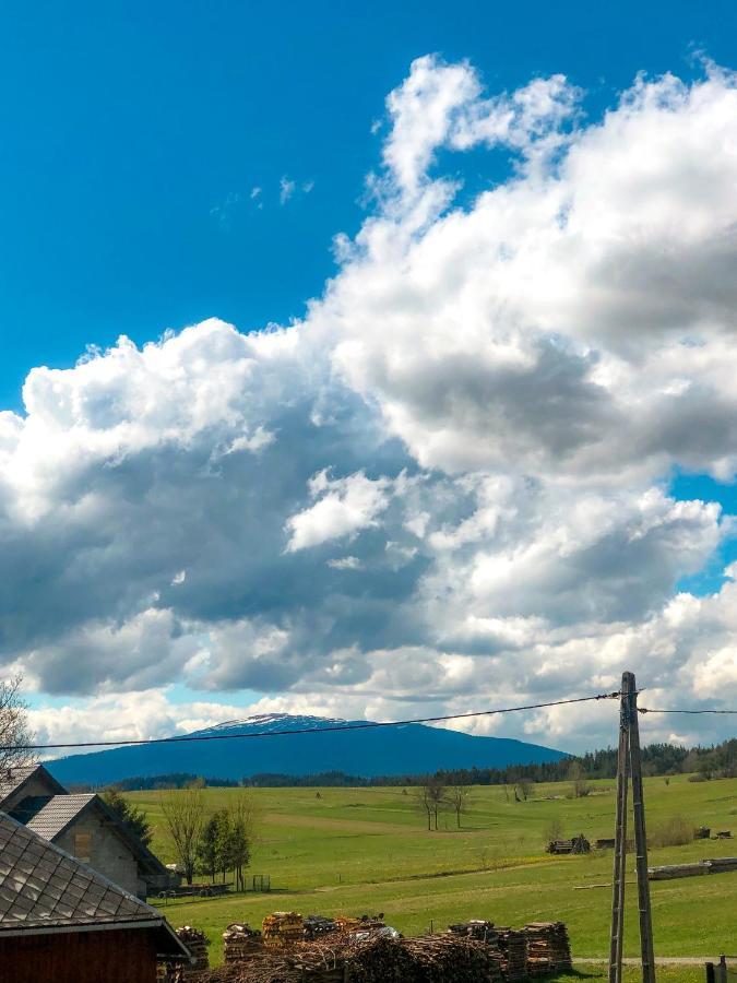 Agroturystyka Kasia Villa Podwilk Eksteriør bilde